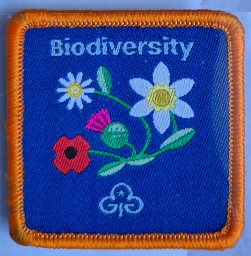 Guide Biodiversity badge, orange binding.  Wildflower selection logo.