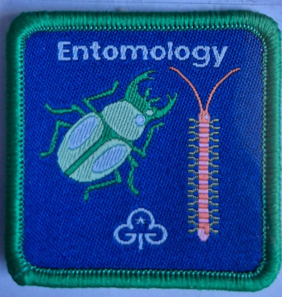 Guide Entomology badge, green binding.  Insects logo.