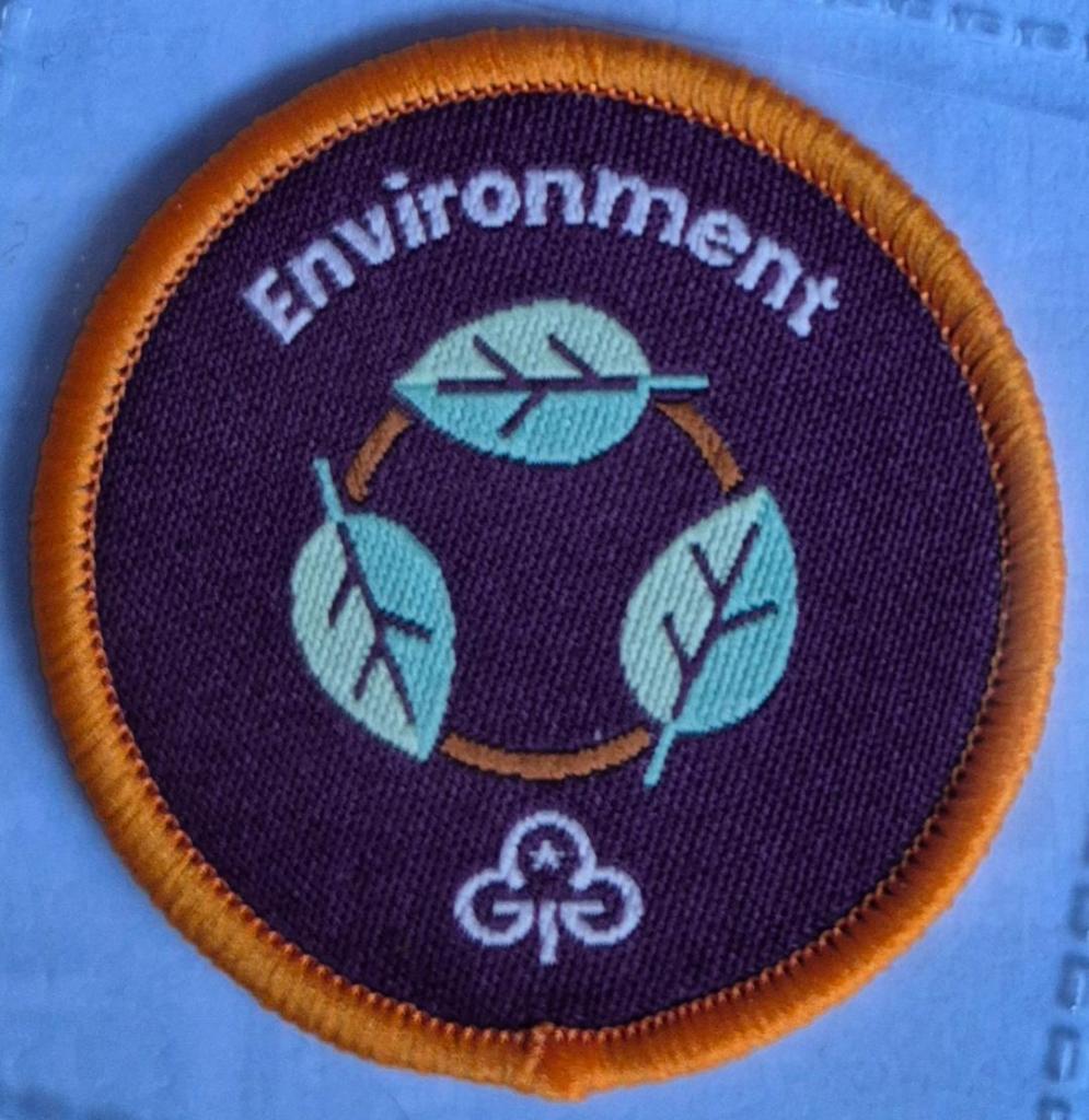 Ranger Environment badge, orange binding.  3 leaves in a circle logo.