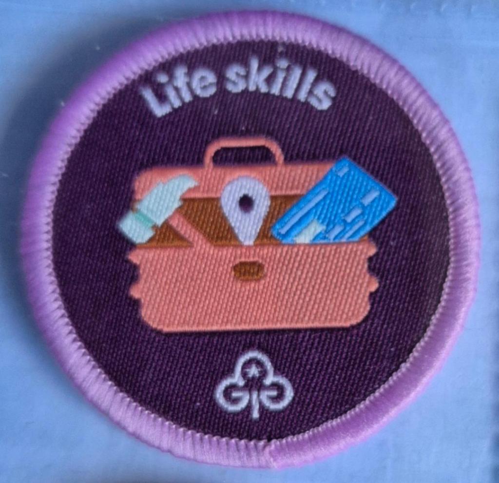 Ranger Life Skills badge, light pink binding.  Toolbox logo.
