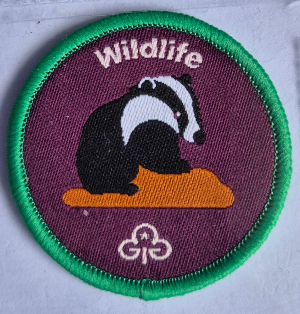 Ranger Wildlife badge, green binding.  Badger emerging from earth logo.